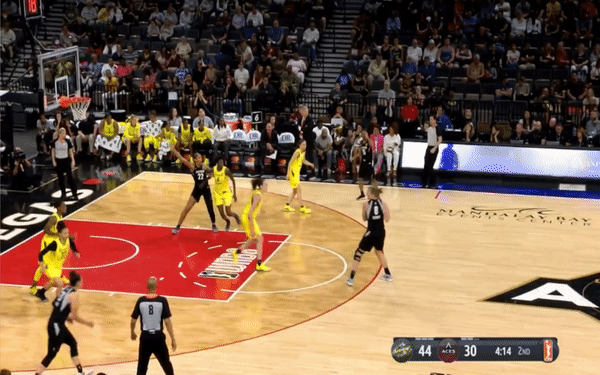 Natasha Howard Block Aces