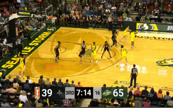 Birdie Bre Pick and Roll