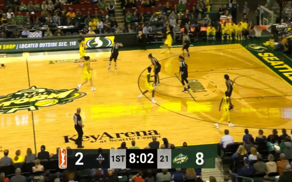 Birdie Bre Slip Screen