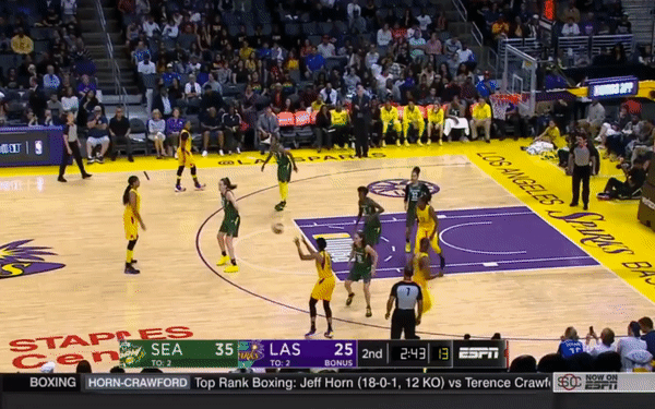 Natasha Howard Block on Chelsea Gray