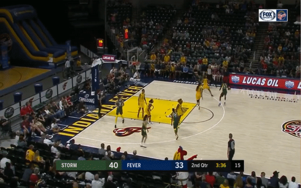 Natasha Howard Decoy